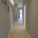 Horizont Premium 3* Shkodër